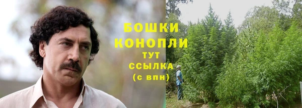 PSILOCYBIN Алексеевка